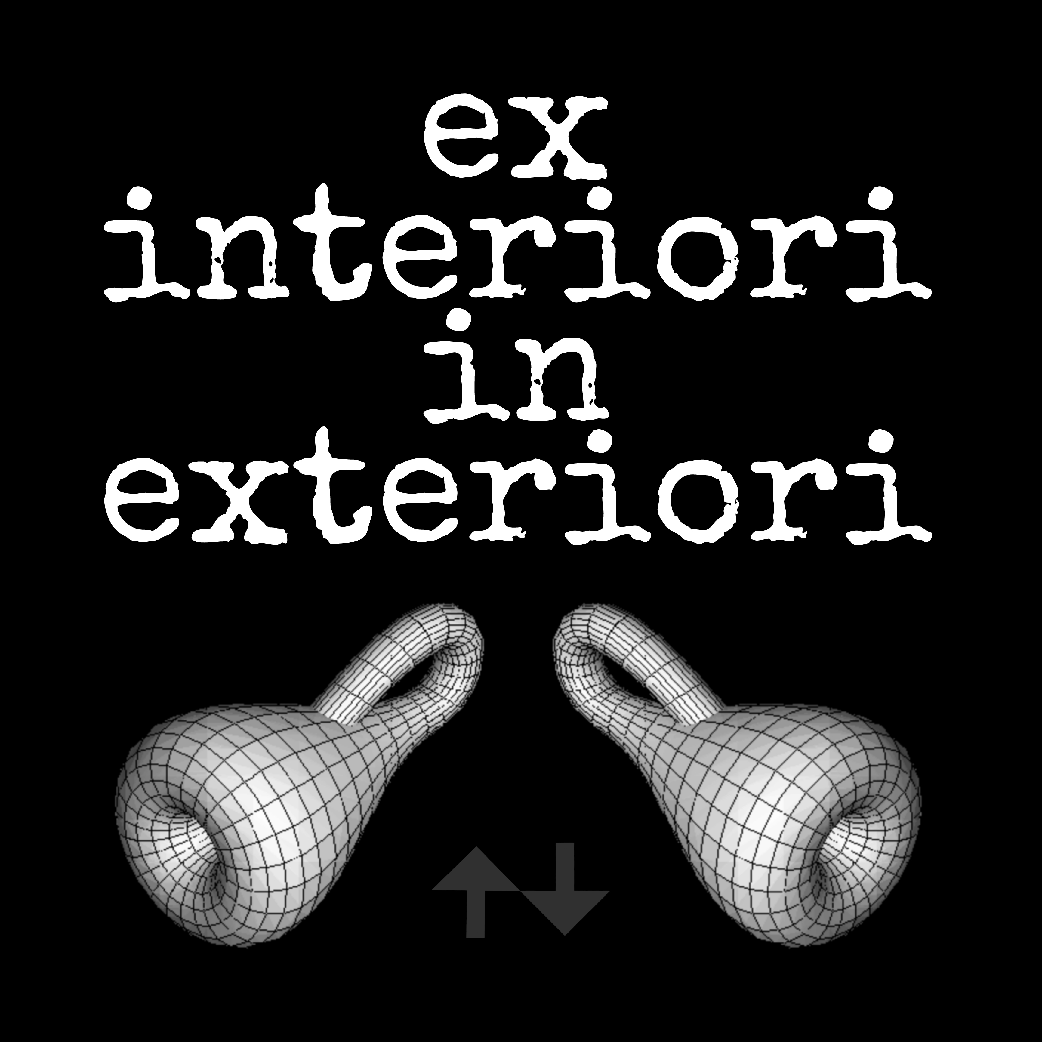 <b>Ex interiori in exteriori</b><br/><br/>Outside the inside into the outside...