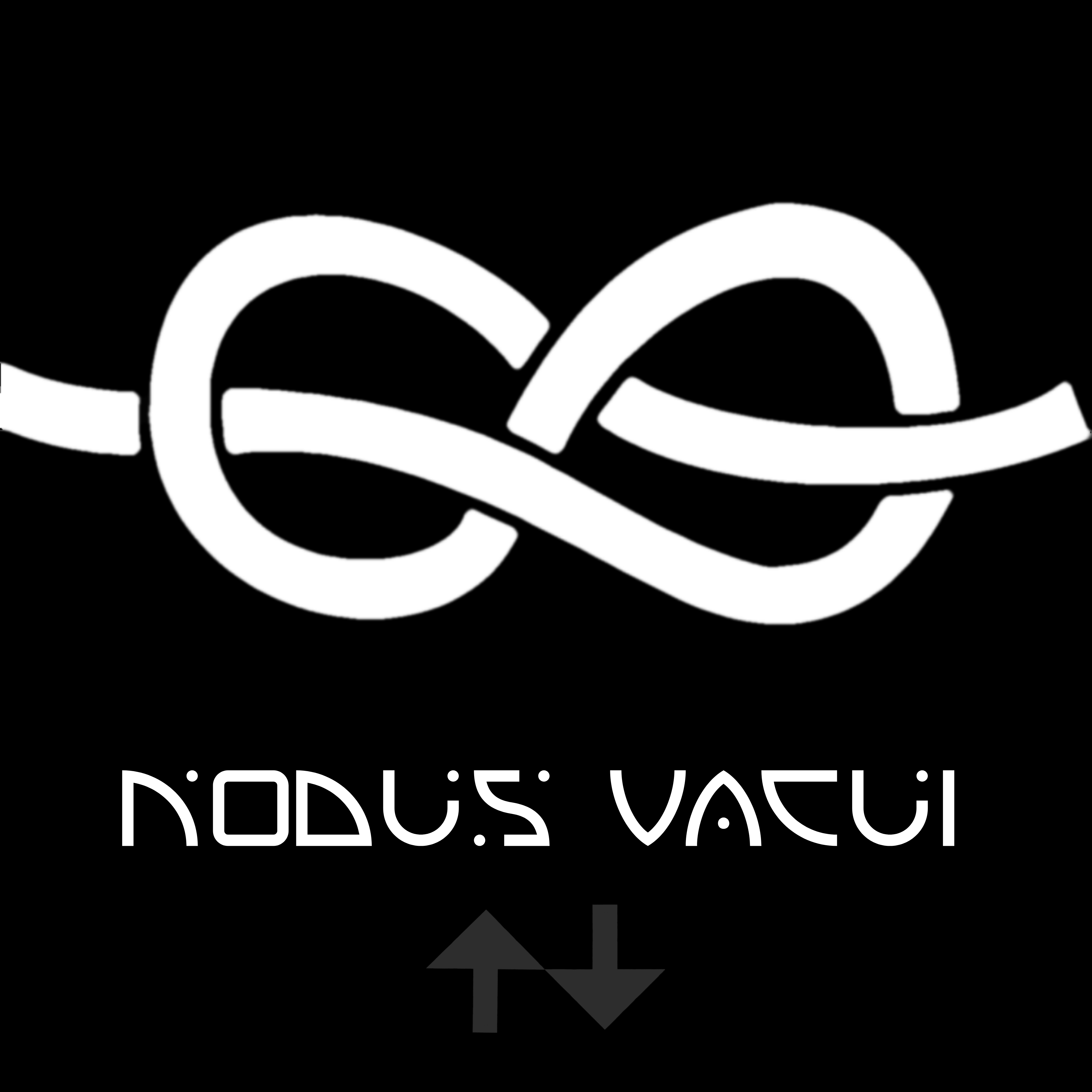 <b>Nodus Vacui - Void knot</b><br/><br/>Nodus Vacui is latin and stands for "void knot". It encapsulates the idea of mathematical reality turning into physical reality by looping into itself multiple times and forming a knot.