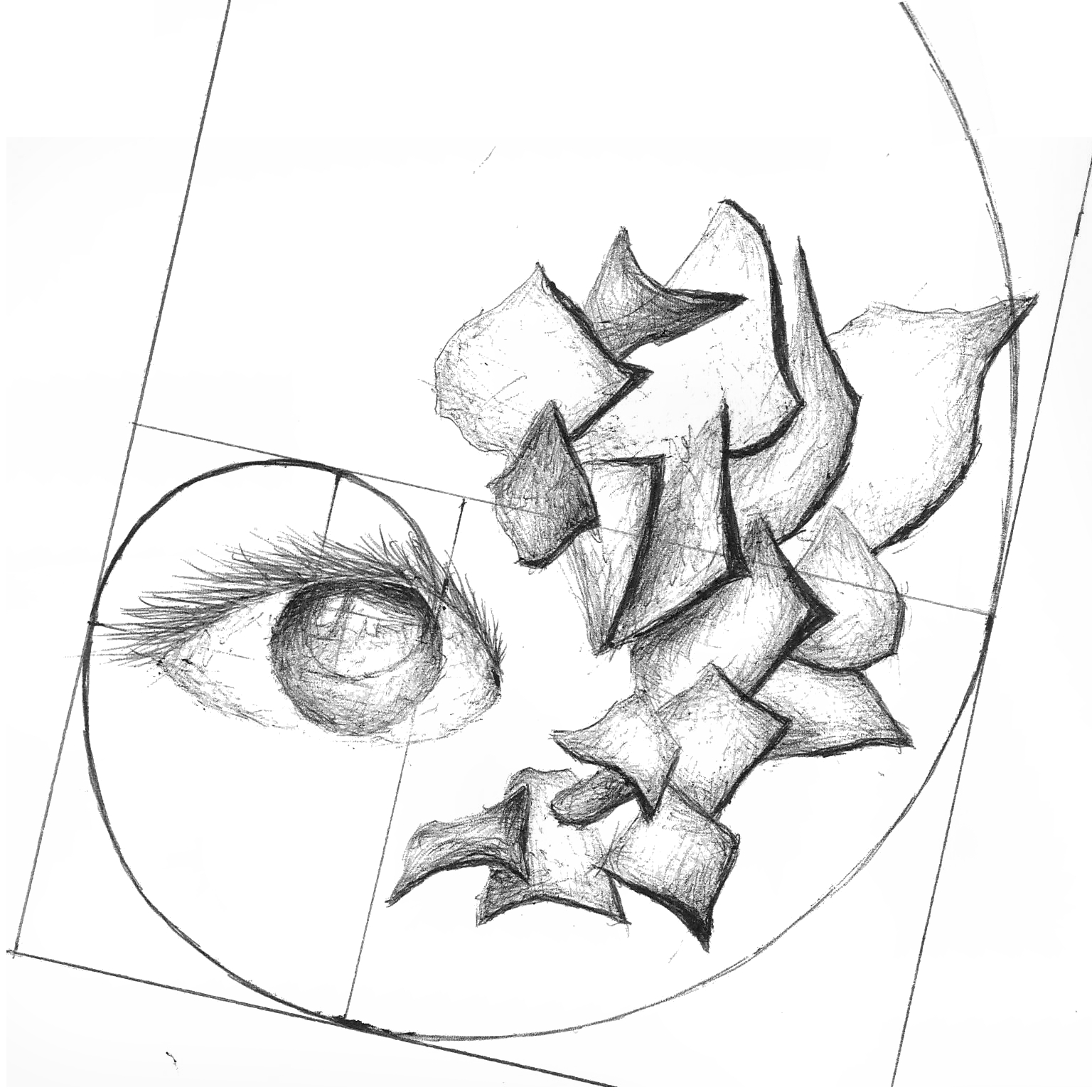<b>In the eye of Fibonacci</b>